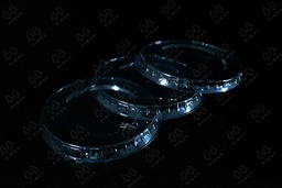 [TTP0003] BINTANG LID PUDING 220 ML 50X40