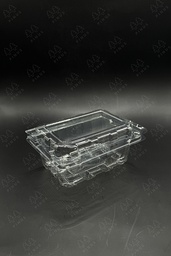 [GBOX001] FOODSAFE BOX BUAH EKONOMIS 250 ML 25X20