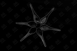 [SDK0009] (D) SENDOK BEBEK BENING 144X50