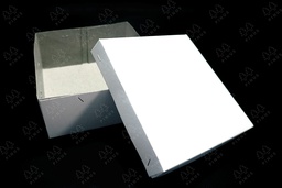 [DUS0006] DUS PUTIH 20X20X8 CM X 50