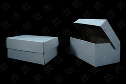 [DUS0001] DUS PUTIH AQUA (T) X  50